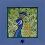 (image for) Proud Peacock (2020)
